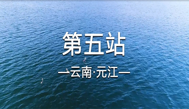 饮水思源求真之旅五——元江
